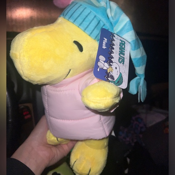 Peanuts | Toys | Peanuts Snoopy Woodstock Plush In Pink Puffer Jacket ...